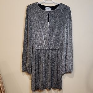 Elegant Long Sleeve Black/Silver Dress